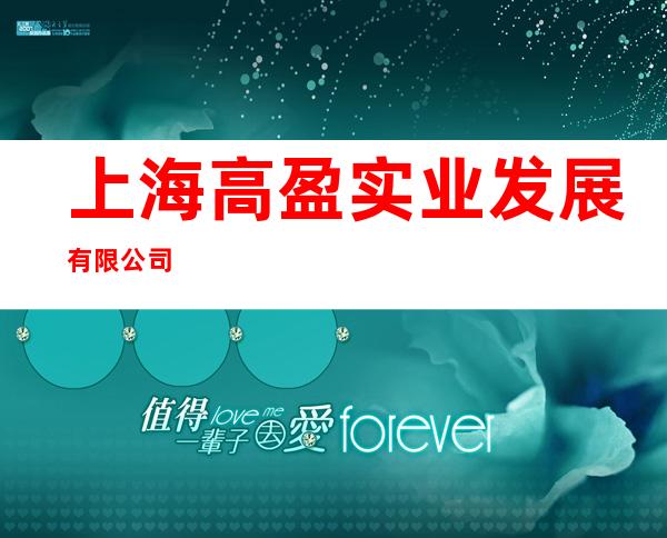 上海高盈实业发展有限公司
