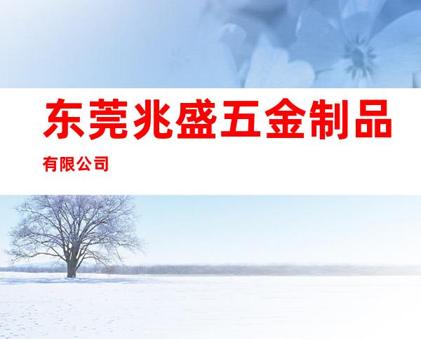 东莞兆盛五金制品有限公司