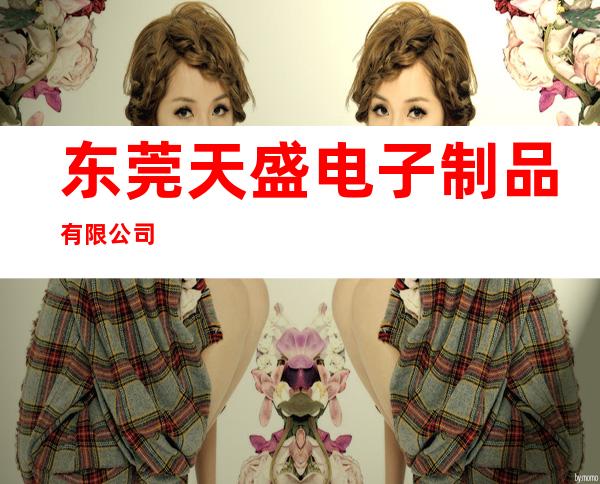 东莞天盛电子制品有限公司
