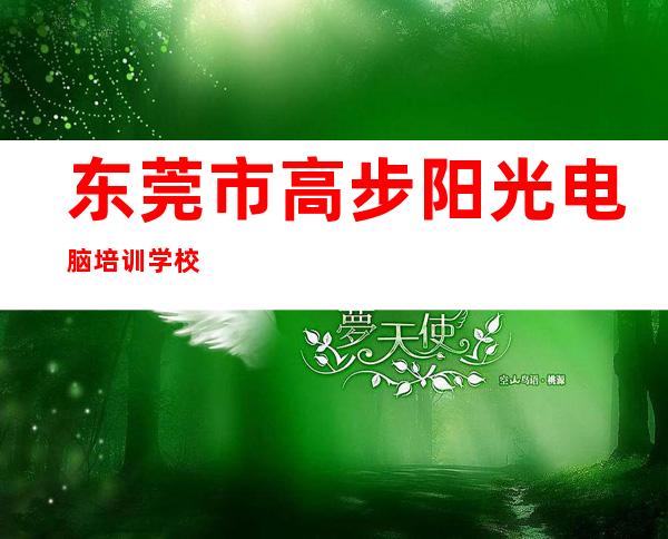 东莞市高步阳光电脑培训学校