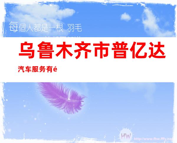 乌鲁木齐市普亿达汽车服务有限公司