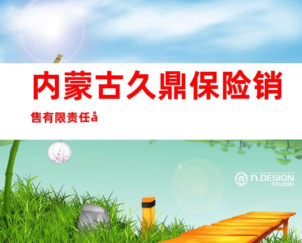 内蒙古久鼎保险销售有限责任公司
