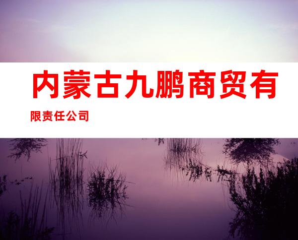 内蒙古九鹏商贸有限责任公司