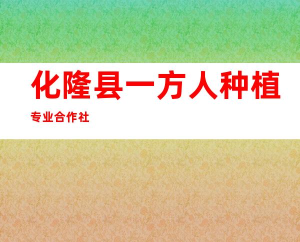 化隆县一方人种植专业合作社