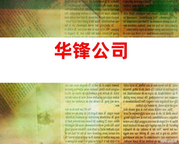 华锋公司