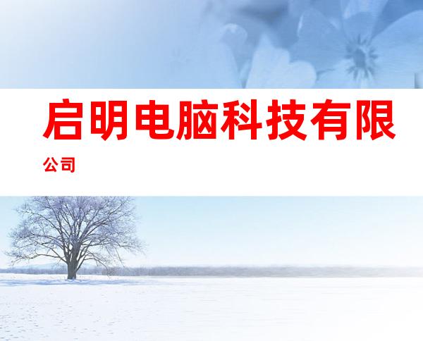 启明电脑科技有限公司