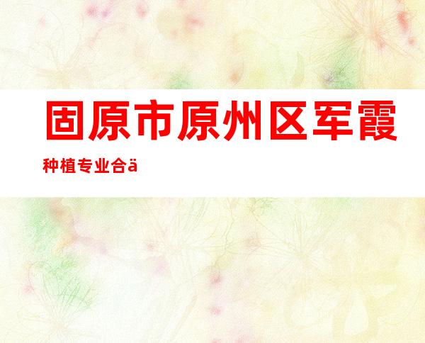 固原市原州区军霞种植专业合作社