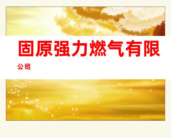 固原强力燃气有限公司