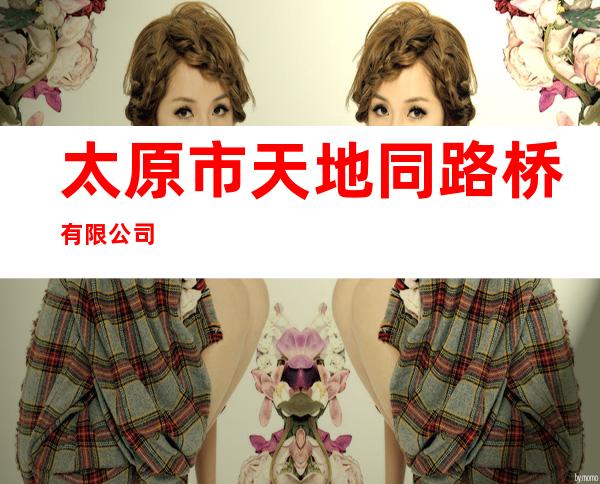 太原市天地同路桥有限公司