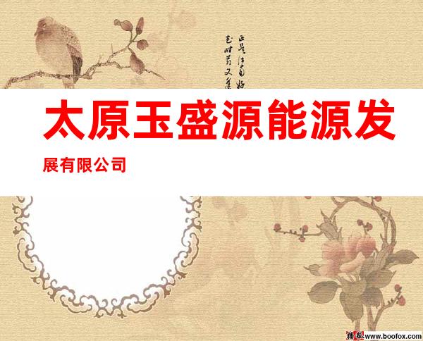 太原玉盛源能源发展有限公司