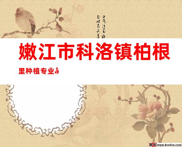 嫩江市科洛镇柏根里种植专业合作社