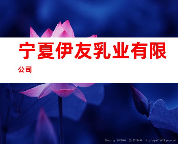 宁夏伊友乳业有限公司