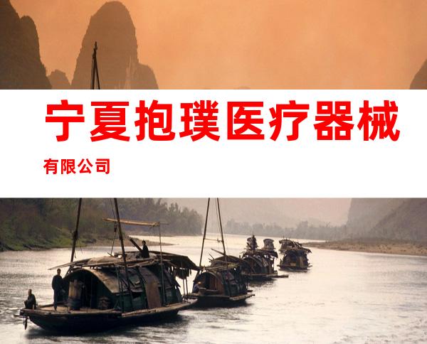 宁夏抱璞医疗器械有限公司