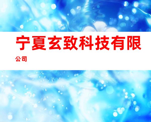 宁夏玄致科技有限公司
