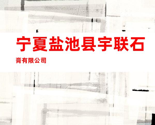 宁夏盐池县宇联石膏有限公司