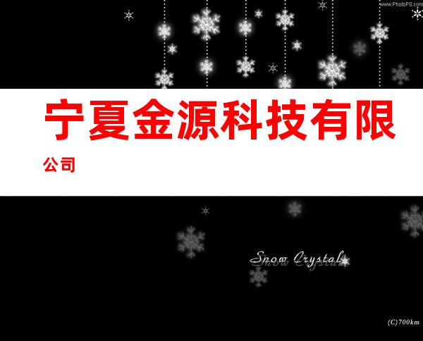 宁夏金源科技有限公司
