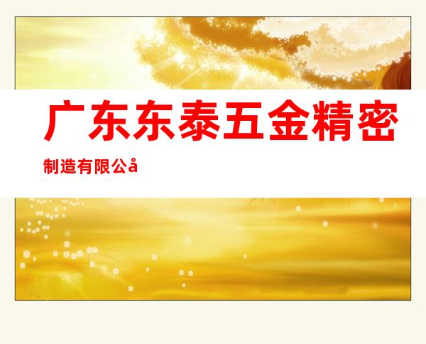 广东东泰五金精密制造有限公司