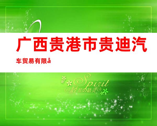 广西贵港市贵迪汽车贸易有限公司