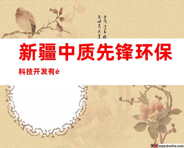 新疆中质先锋环保科技开发有限公司