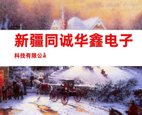 新疆同诚华鑫电子科技有限公司