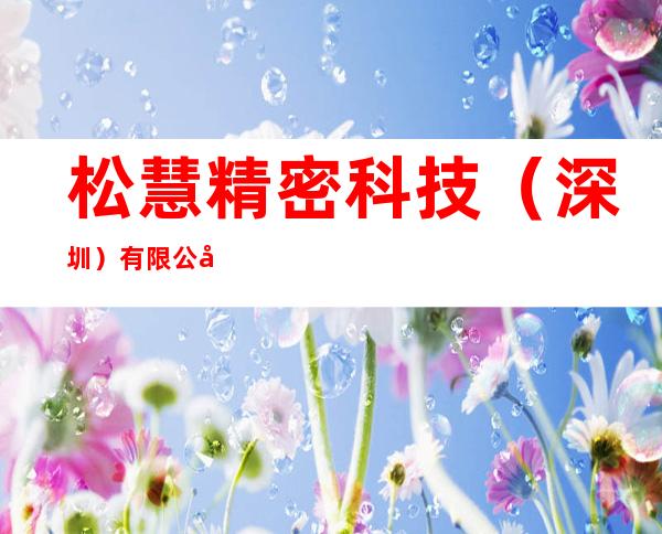 松慧精密科技（深圳）有限公司