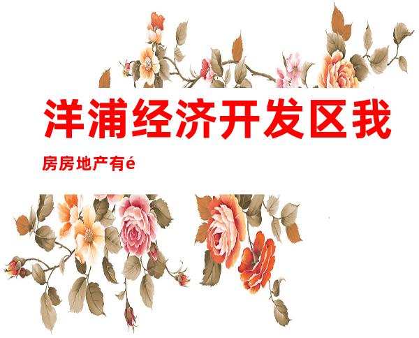 洋浦经济开发区我房房地产有限责任公司