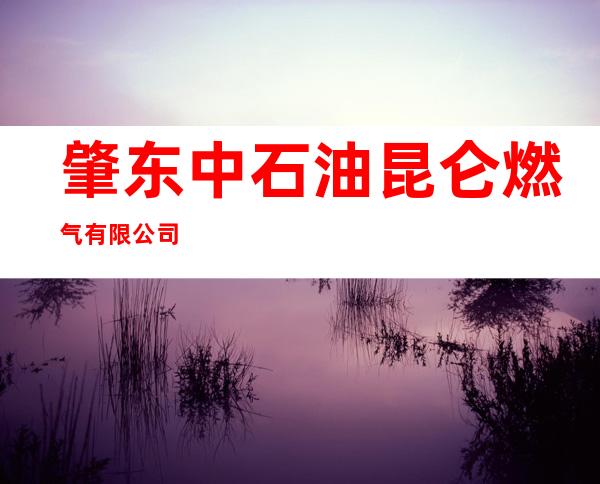 肇东中石油昆仑燃气有限公司