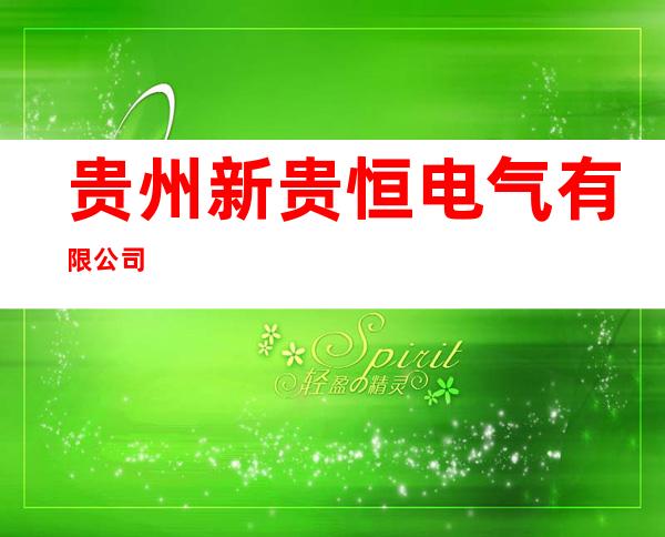 贵州新贵恒电气有限公司