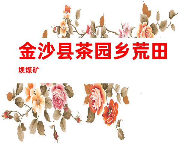 金沙县茶园乡荒田坝煤矿