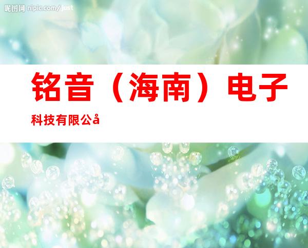 铭音（海南）电子科技有限公司