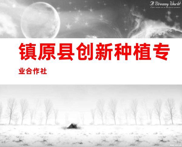 镇原县创新种植专业合作社